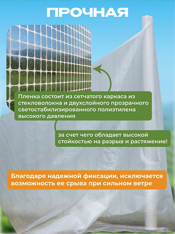 /upload/resize_cache/iblock/015/800_800_0/02nf2sr84s0jzkhea46aig7sny1aov7b.jpg