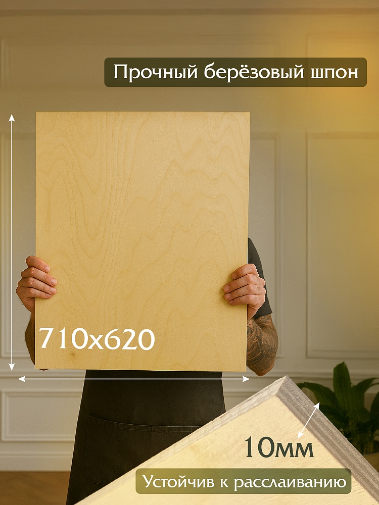 Фанера Промышленник 710х620х10мм, береза, упаковка 1 шт фото 2